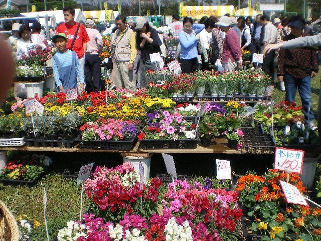 【2021年中止】花の祭典
