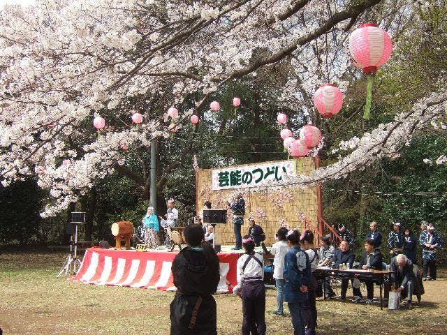 （開催中止）滝山城跡さくらまつり