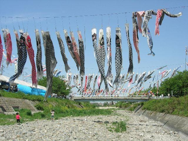 スポットの写真