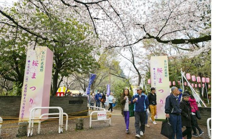 【2021年WEB開催】武蔵野桜まつり
