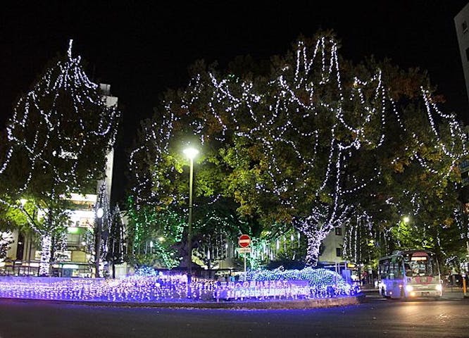 中央地区イルミネーション