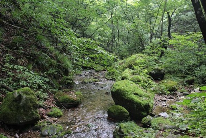 ロックガーデン