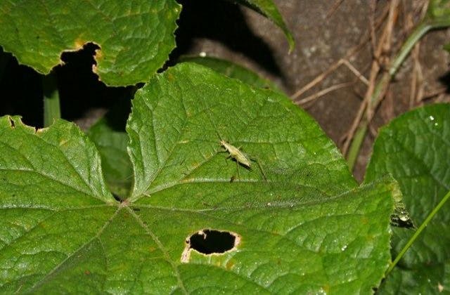 スポットの写真