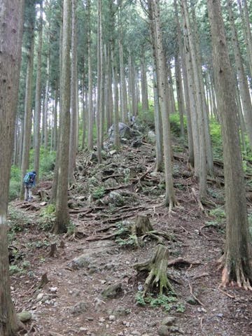 高水三山ハイキングコース
