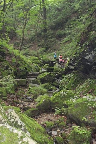 御岳山ロックガーデンハイキングコース