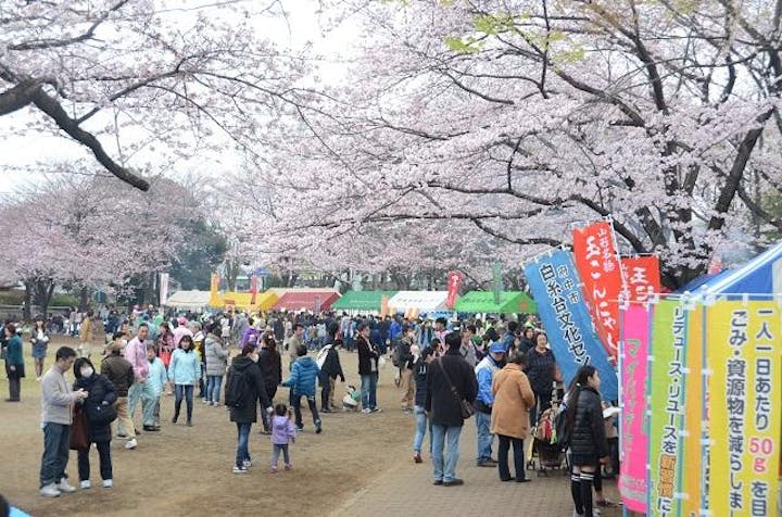 【規模縮小】府中市民桜まつり