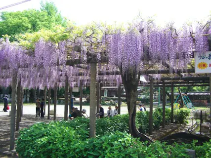 Movix昭島 ムービックス昭島 アソビュー