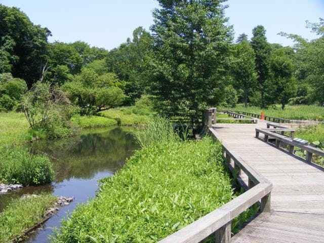水生植物園・深大寺城跡