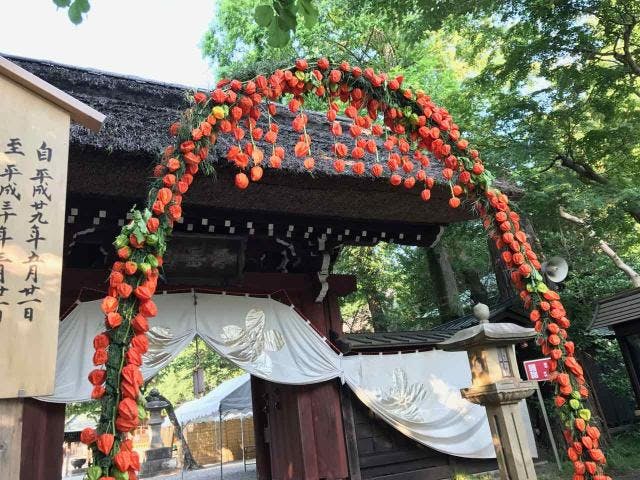 深大寺鬼燈まつり