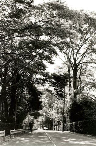 東京街道（江戸街道）