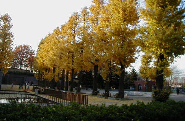 スポットの写真