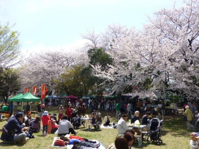 【2021年中止】小平グリーンロード花まつり