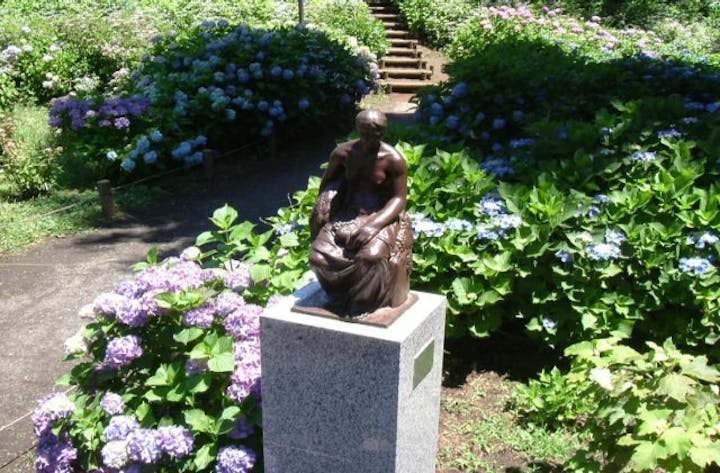 こだいらあじさいまつり