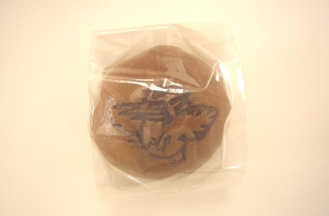 スポットの写真