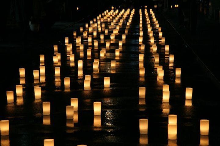 たかはたもみじ灯路