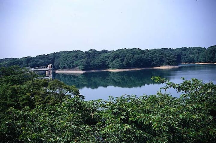 多摩湖