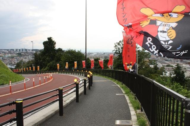 スポットの写真