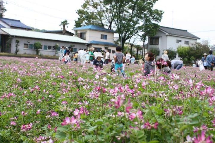 【2020年中止】大丸用水れんげまつり