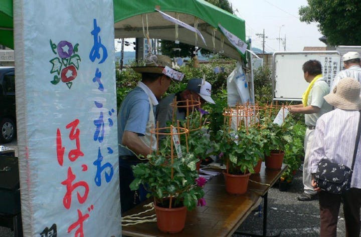 活力市　あさがお・ほおずき市