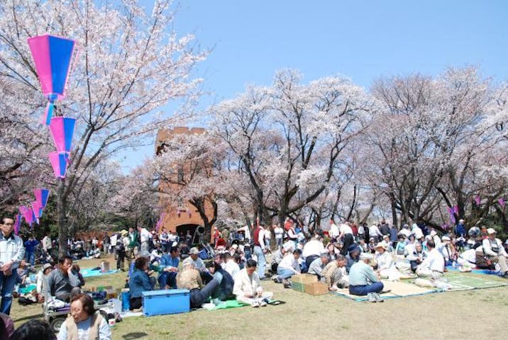 【2020年中止】さくらまつり（東京都瑞穂町）