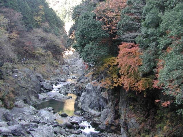 鳩ノ巣渓谷遊歩道