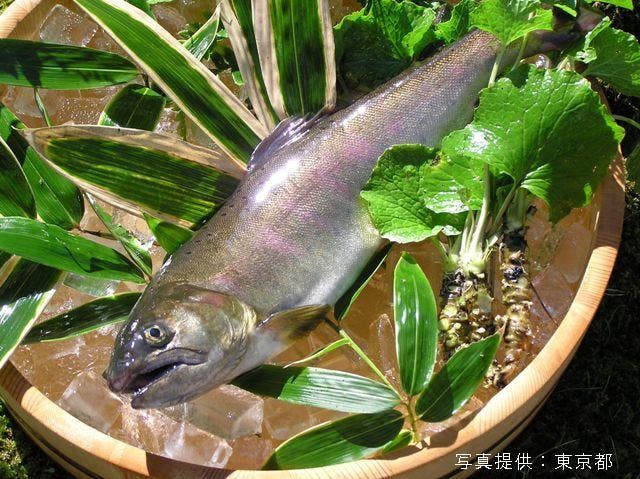 スポットの写真