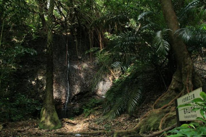 船木山の滝遊歩道