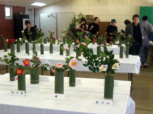 こどもの国　ツバキまつり