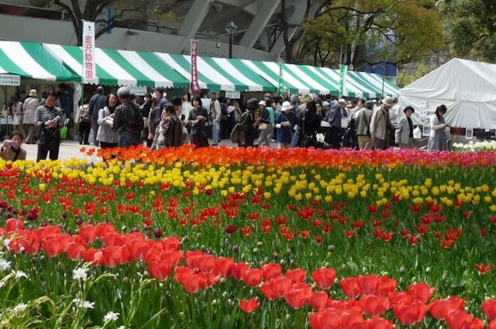 第43回「よこはま花と緑のスプリングフェア」2021