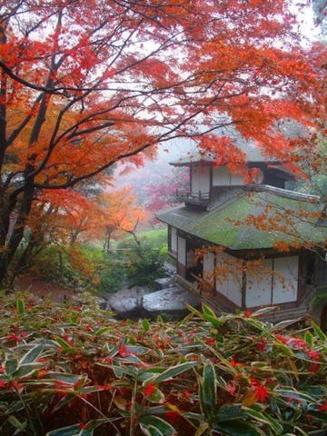 三渓園　紅葉の古建築公開
