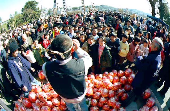 木賊不動だるま市