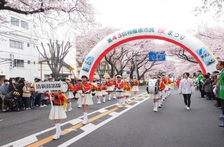 【2020年中止】相模原市民桜まつり