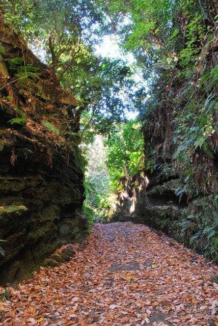 スポットの写真