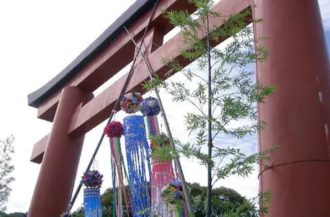 神奈川県菊花大会 アソビュー