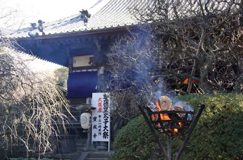 神奈川県菊花大会 アソビュー