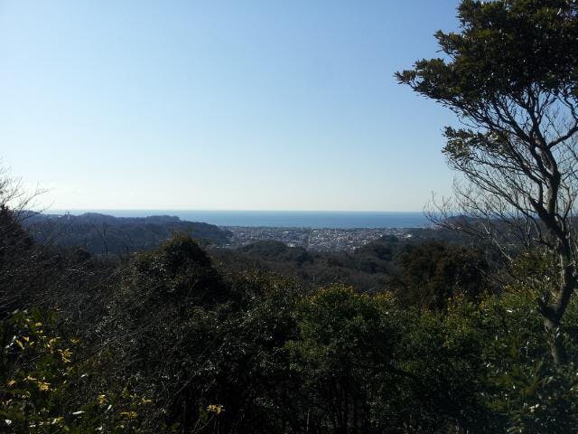 天園ハイキングコース（通行禁止中）