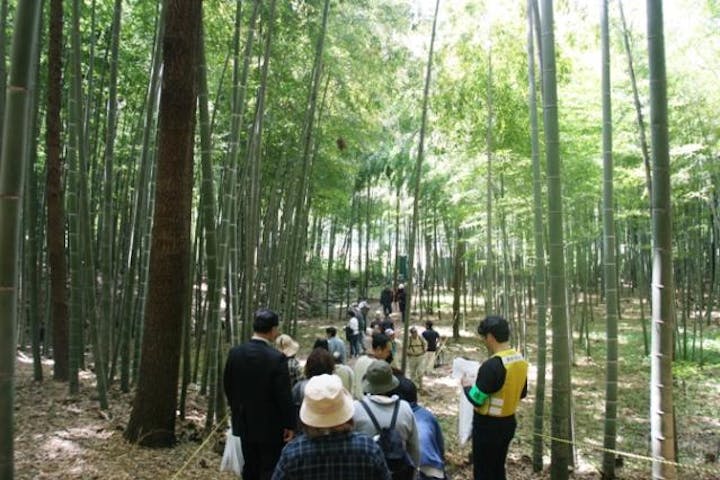 第20回 竹炭祭(イベントは中止となりました）