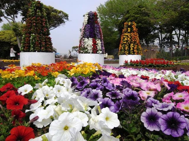 コッキング・ガーデン　「THE FLOWER」