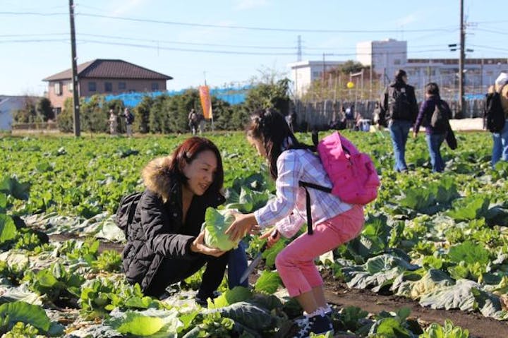 収穫観光ウォークラリー