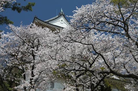 辻村植物公園 アソビュー