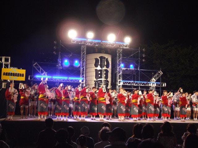 小田原ちょうちん＆光アート