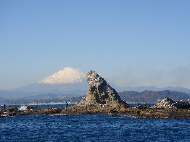 【2021年中止】生わかめまつり