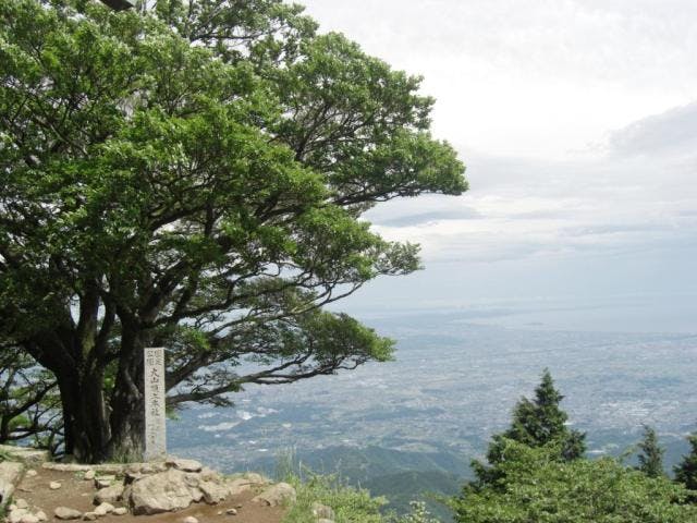 大山ハイキングコース