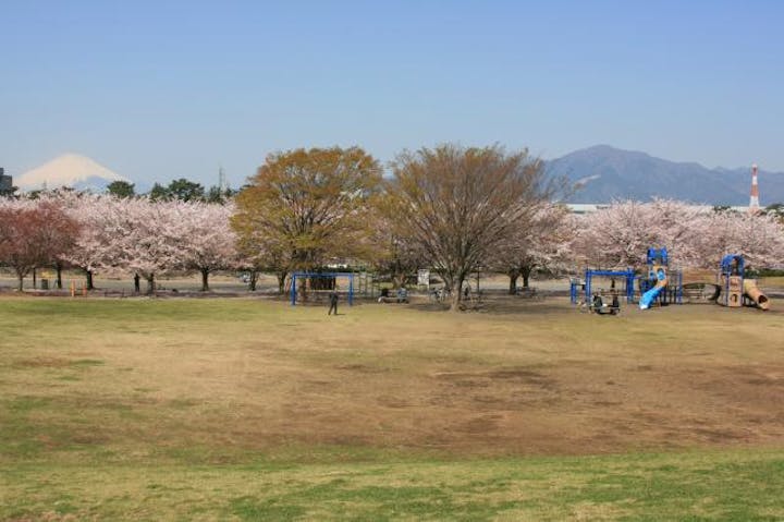 さむかわ中央公園 アソビュー