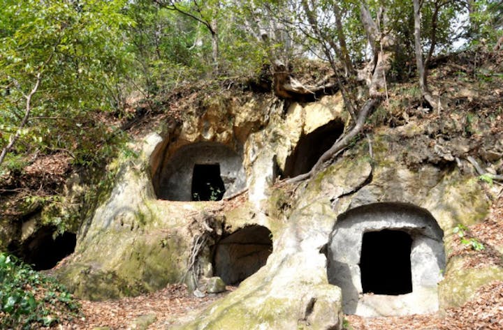 楊谷寺谷戸横穴墓群