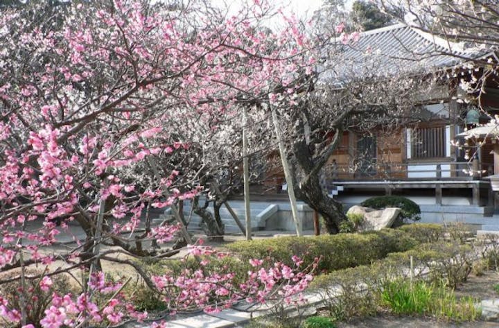 地福寺〜島崎藤村の墓〜
