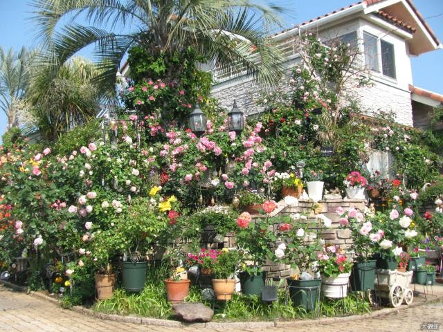 大磯オープンガーデン