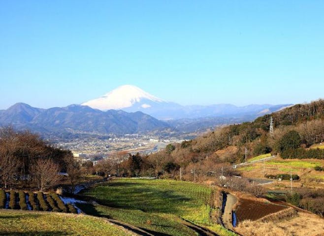 富士見塚ハイキングコース