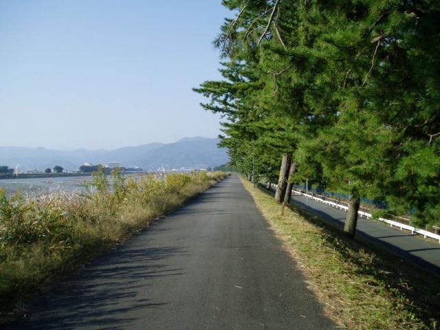 酒匂川・足柄大橋ハイキングコース