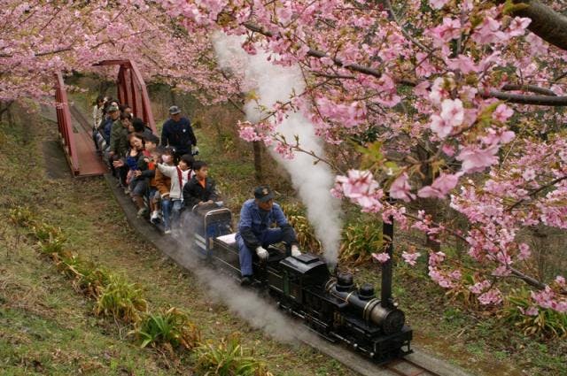 細畑 西平畑公園【アソビュー！】